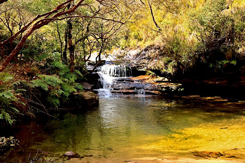 Horseshoe Falls, Blackheath, NSW, Australia.