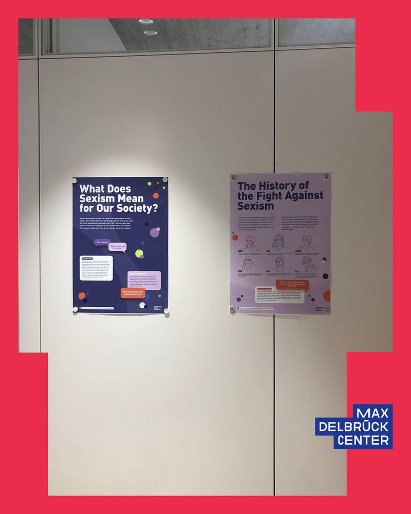 Posters discussing sexism's societal impact and its historical resistance, presented in an educational display.