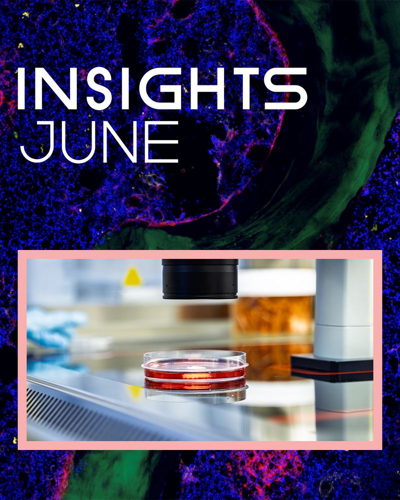 Graphic with image and text: The top portion shows a colorful microscopic image with blue, green, and red tones. Centered white sans-serif text reads “INSIGHTS JUNE” in all caps. Below, a photo framed in pink shows a close-up of a lab setup with a petri dish filled with red liquid under a microscope lens, placed on a reflective metal surface.