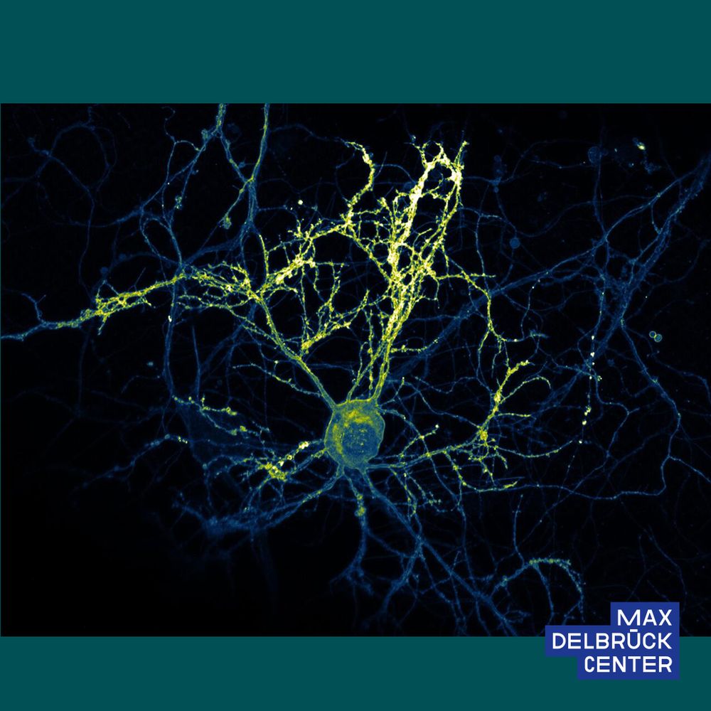 scientific image
