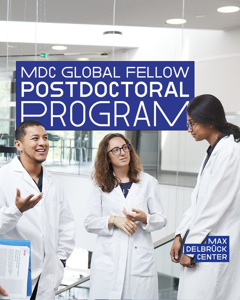 three scientists discuss. Text: "MDC Global Fellow postdoctoral program"