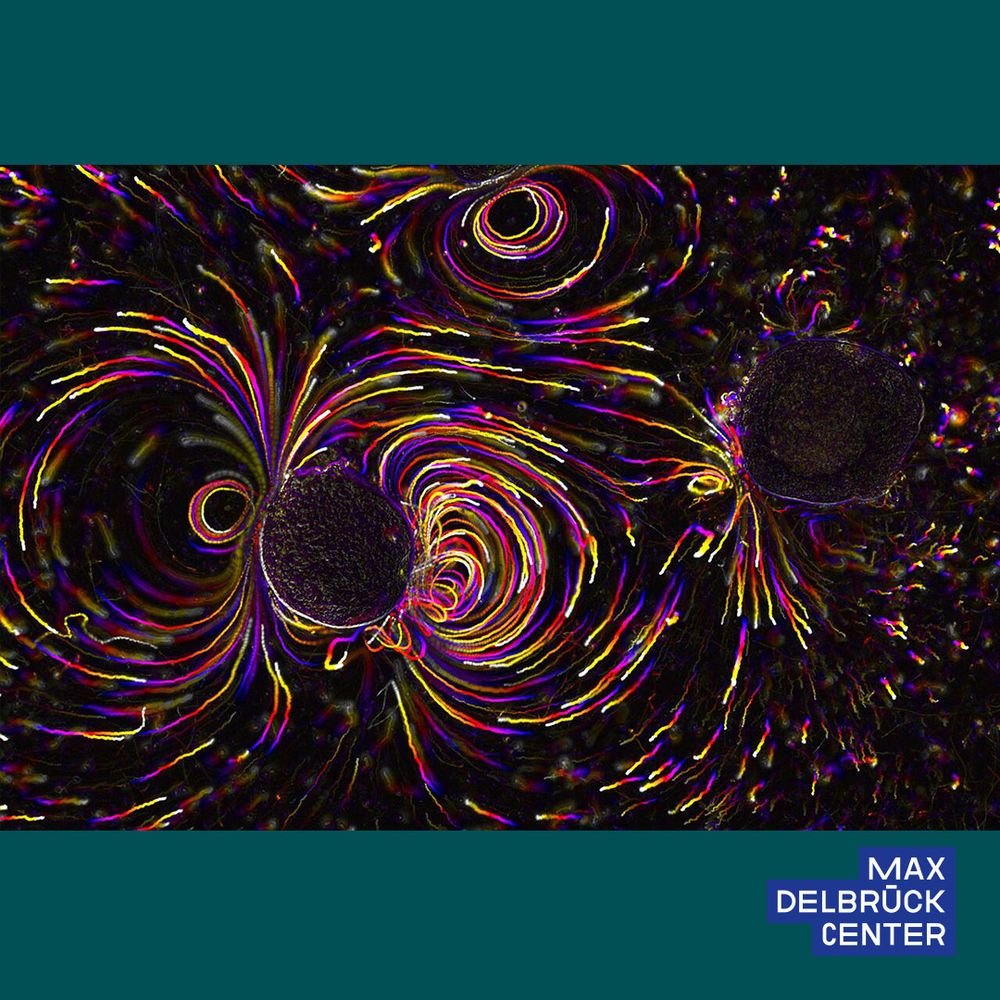 scientific image