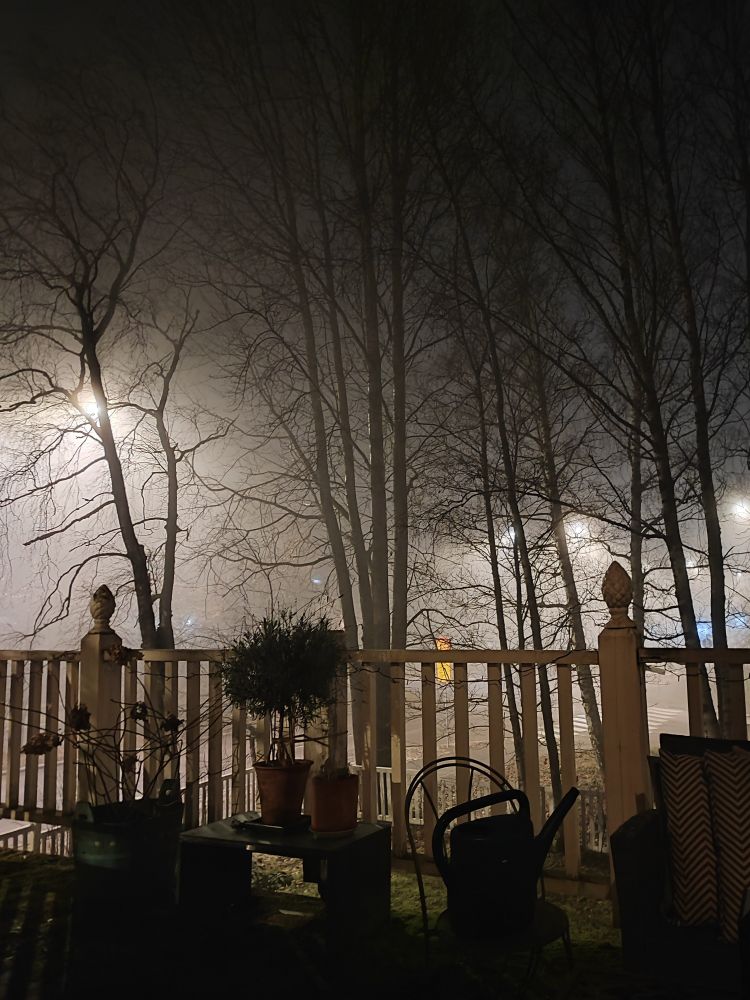 Sumuinen ilta parvekkeella, edessä lehdettömiä puita.