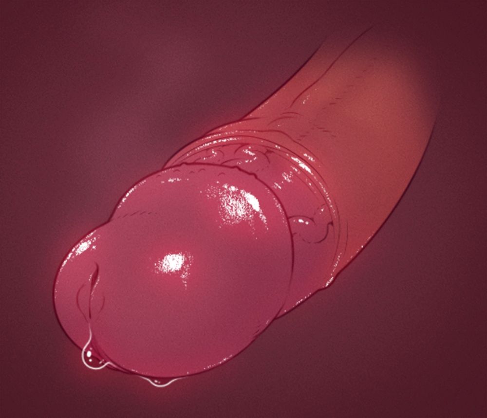 full-color digital illustration of a cock, shot from very close up. the head is quite shiny. the foreskin is drawn back well behind the crown. the meatus is especially detailed, with lips on either side and a dimpling in the vertical slit. precum beads at the frenulum.