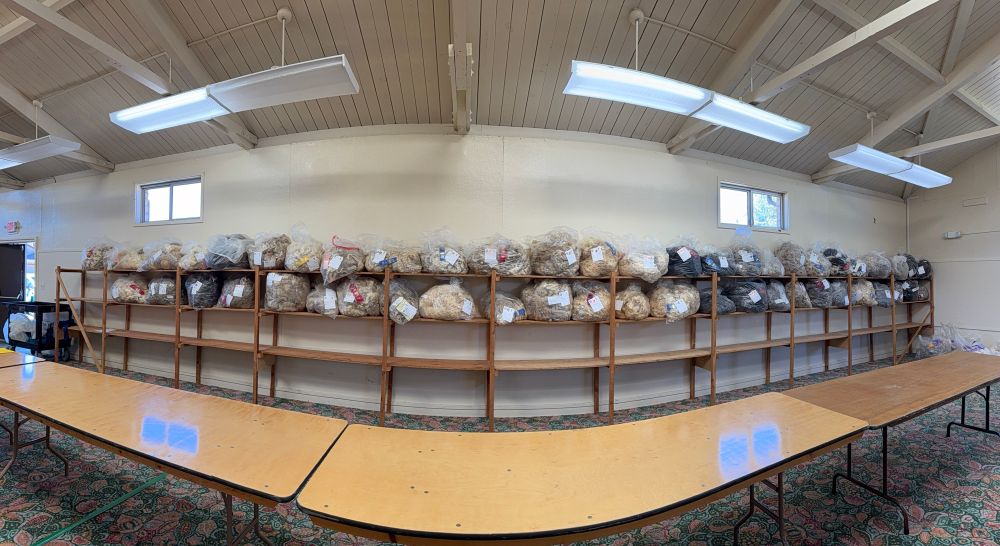 A wall of wooden shelving holds about 50 clear plastic bags of wool fleeces. 