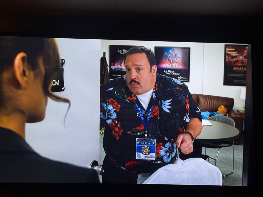 Paul blart in a nice shirt 