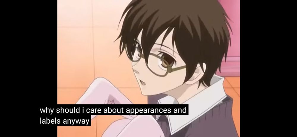 A screenshot of Haruhi Fujioka from Ouran High School Host Club with the caption "Why should I care about appearances and labels anyway?"
