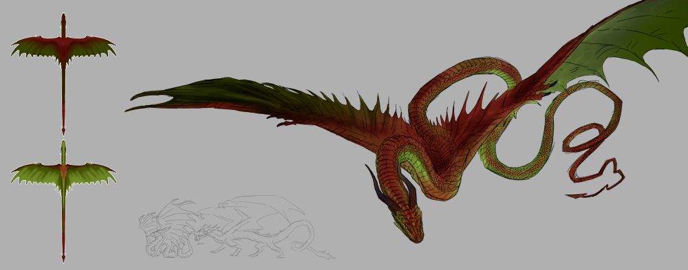 A red and green amphiptere with brownish/dark horns on its head flying on a blank background with two small refferences of the underbelly and view from above. Also a tiny silly sketch of kinsebing gently biting at his tail 