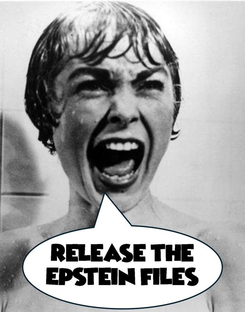 Release the Epstein files 