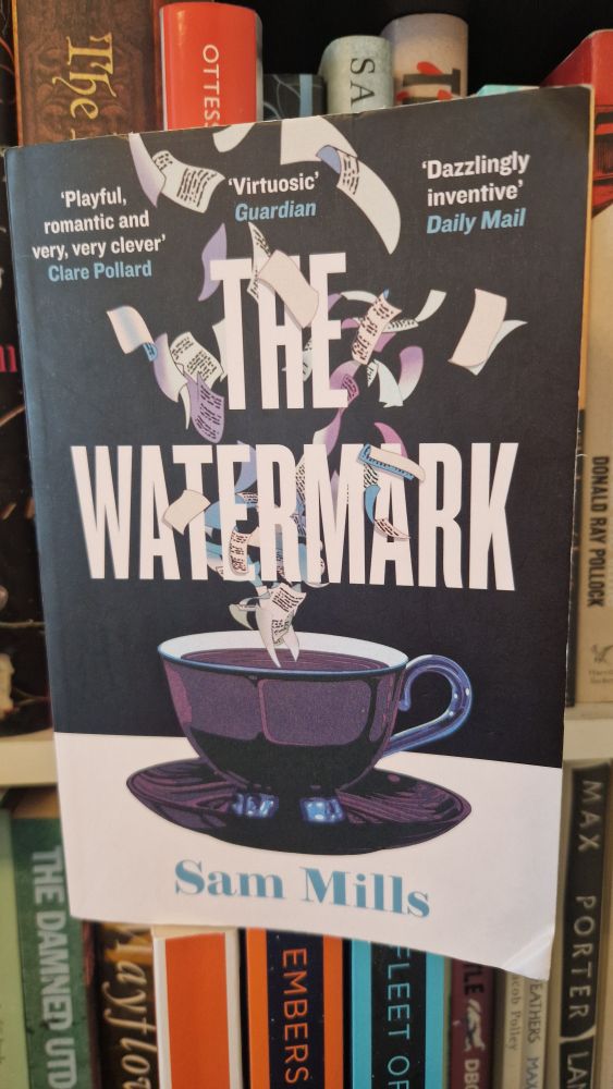 Hefty paperback copy of 'The Watermark' by Sam Mills. 