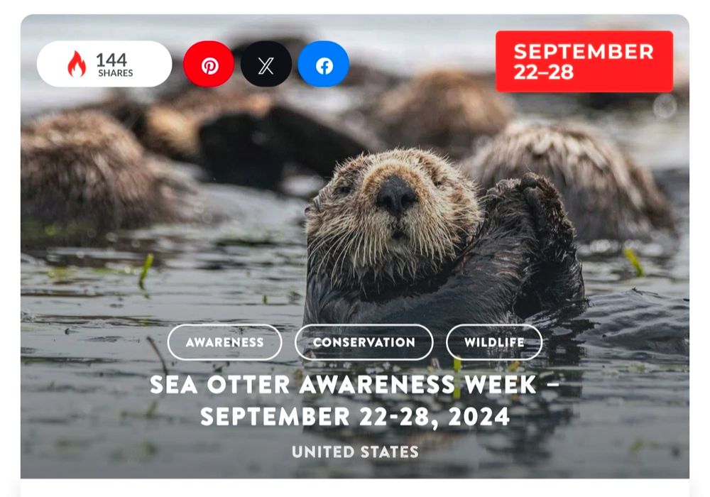 September 22nd to 28th sea otter awareness week
