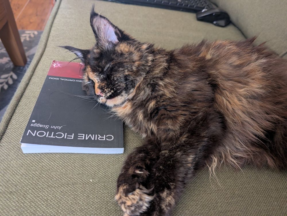 Kitten sleeping on copy of Crime Fiction by John Scaggs