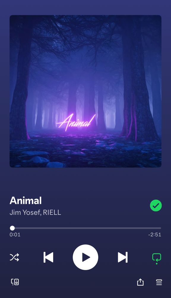 Animal by Jim Yosef and RIELL