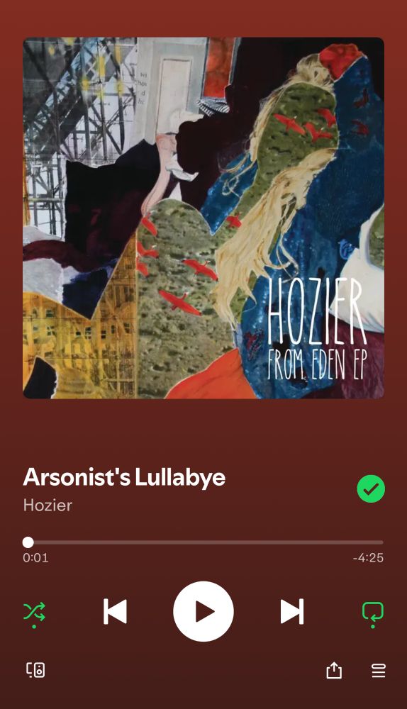 Arsonist’s lullaby by Hozier 