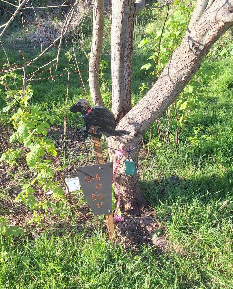 Bag it bin it with with a dog sign and some dog bags, attached to a tree
