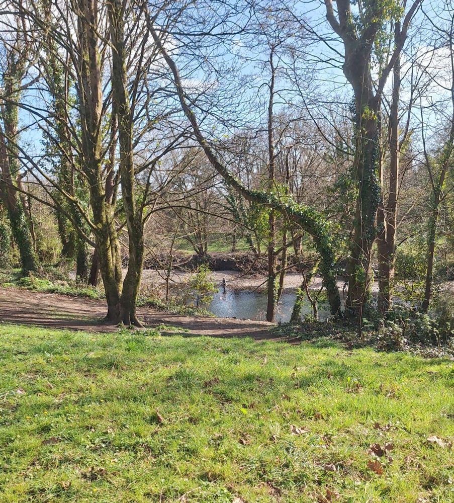 Body of water and trees, someone fishing in the water