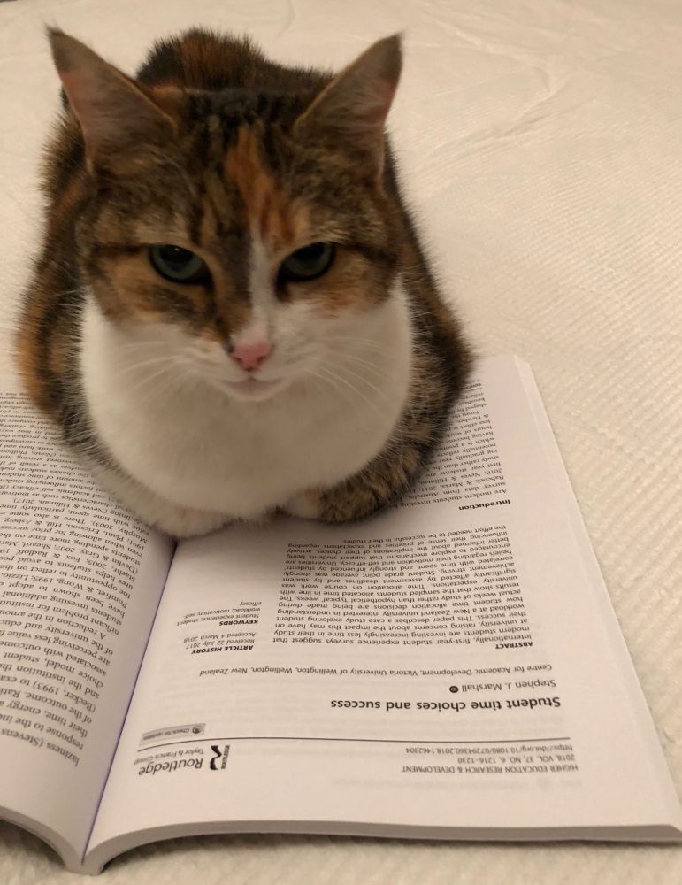 Picture of a cat reading an issue of HERD
