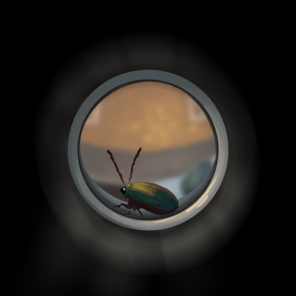 An illustration of a small green-gold beetle seen through a peephole.