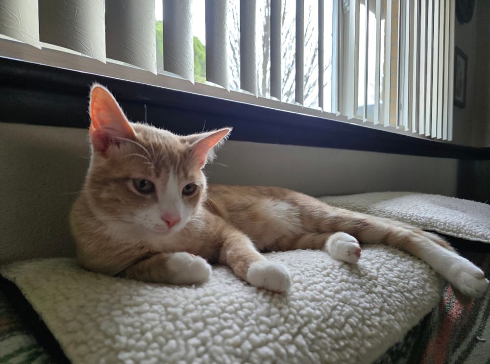 Paco, our tiniest son