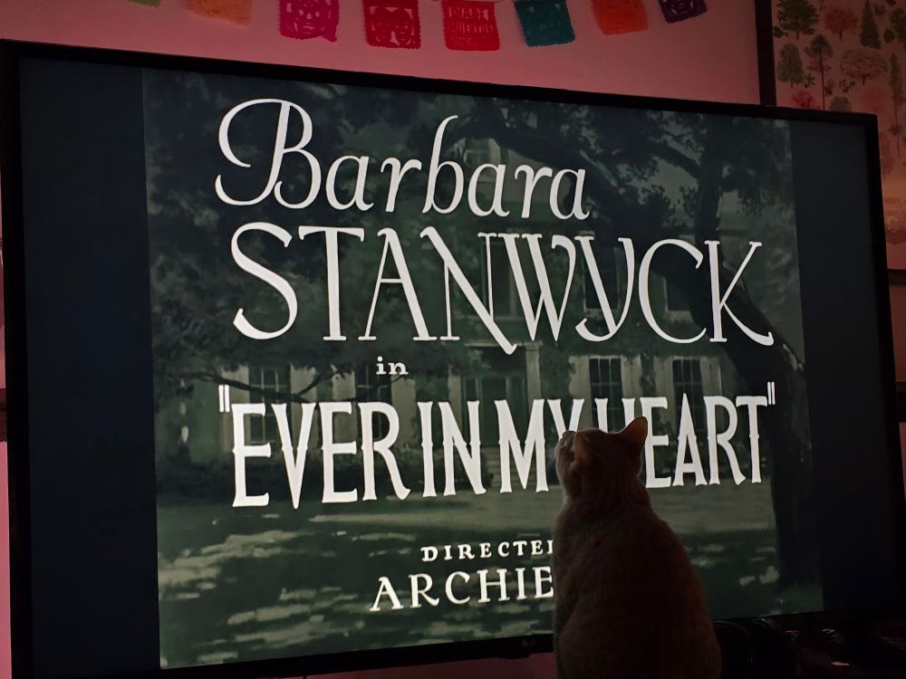 Paco the cat in front of the title screen for Barbara Stanwyck in Ever in My Heart