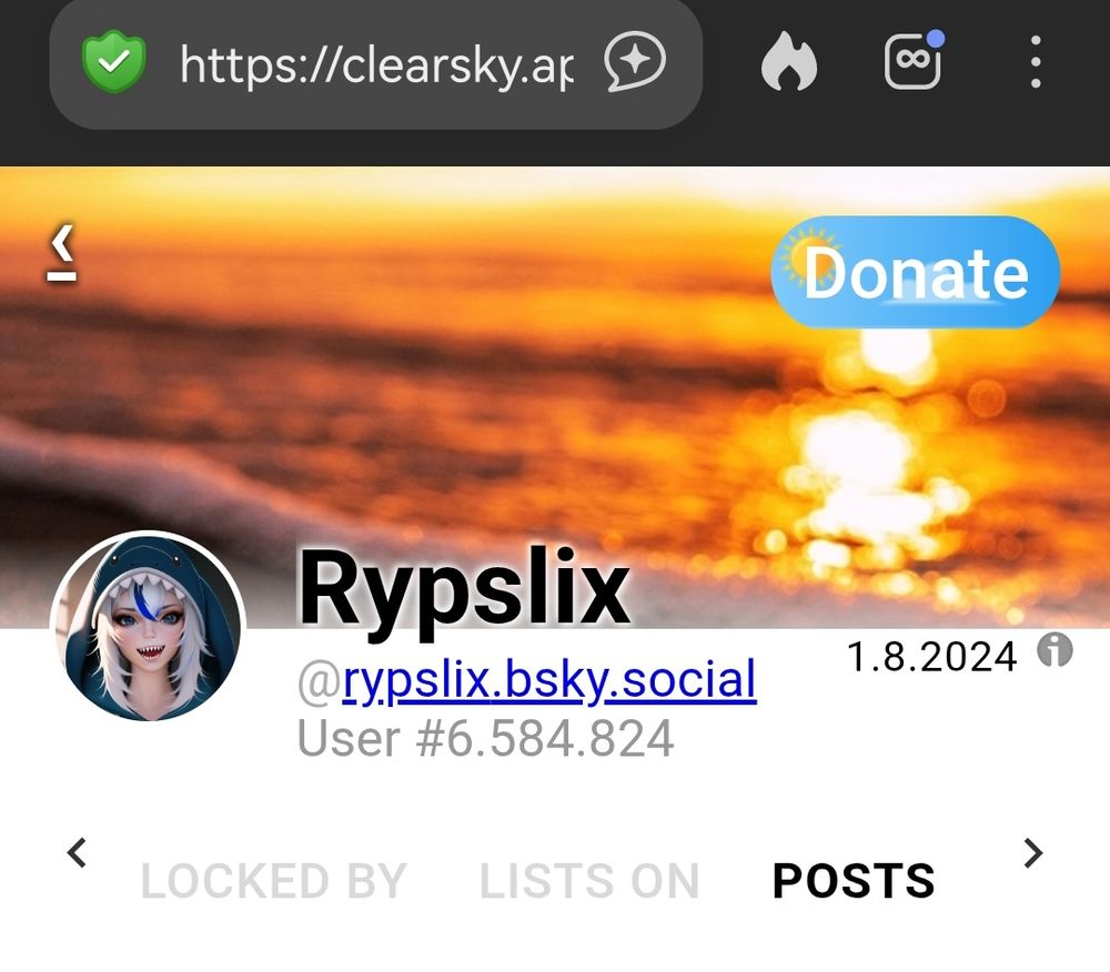 Screenshot des Accounts von Rypslix über ClearSky: der Header enthält den Header eines anderen Accounts (den ich vorher aufgerufen habe) 