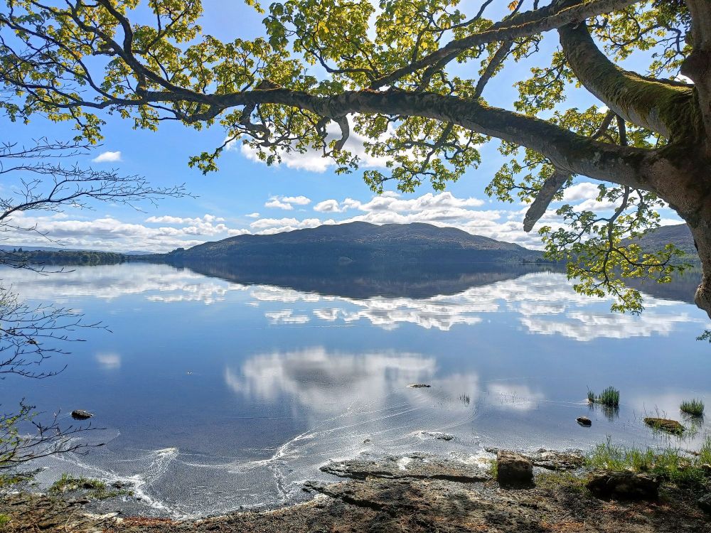 Photo of a calm lake with reflections 