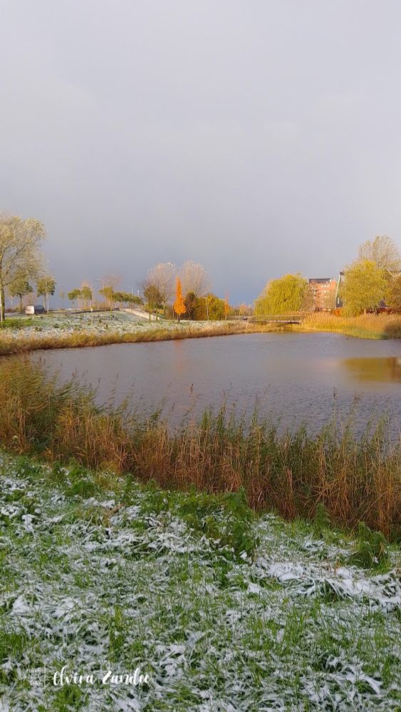 Foto van een stukje Nijkerk waar ik langs liep, je ziet een stukje fietspad met gras en bomen en een deel water,het heeft net gesneeuwd dus het is wit achtig..
Donkere lucht voorspeld meer neerslag.