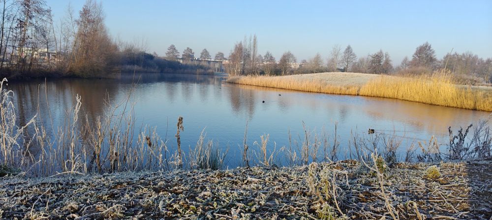 The picture of the weather conditions in Nijkerk,the Netherlands..
Picture of a lake kind of , sun is shining, but the grass is frozen..(-3 Celsius)