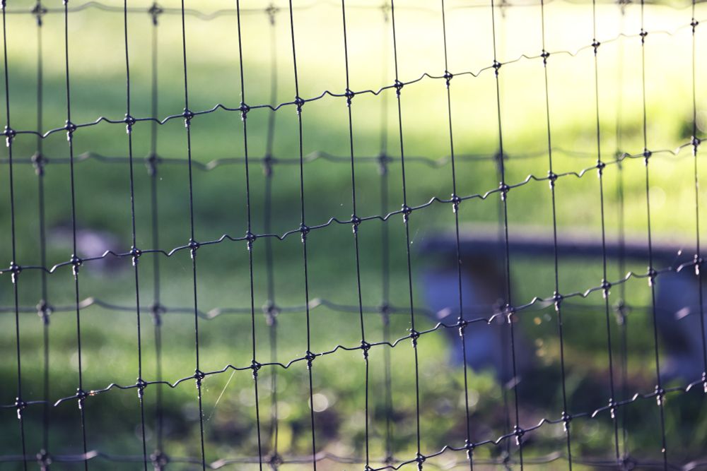 A photo of a wire garden fence. The fence's grid pattern is silhouetted against a blurry green field with the bright yet hazy light of sunrise.