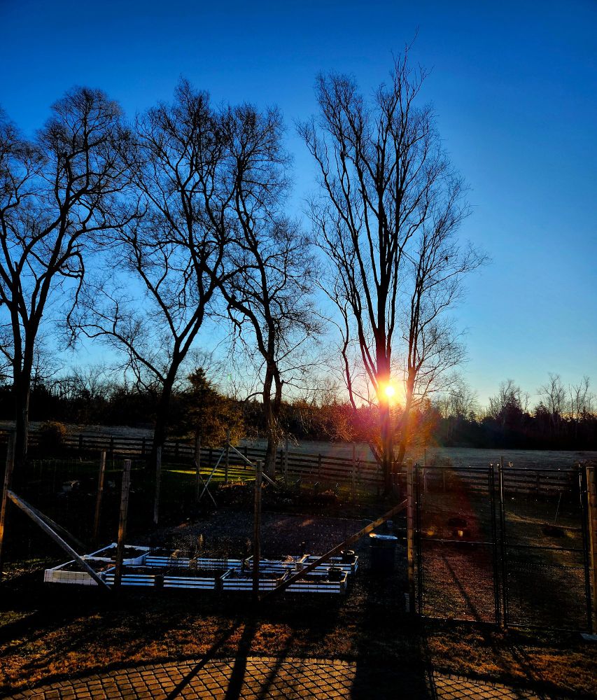 Sunrise 12 Dec 2025 - The golden sunrise casts long dark shadows across a fenced garden and open horse pasture, with bare trees silhouetted against a clear blue sky.