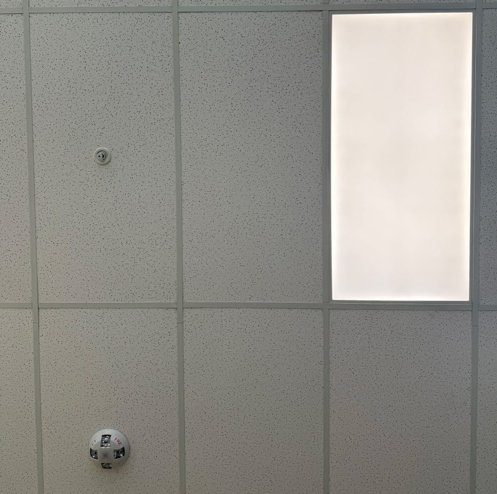Ceiling tiles in the library.
