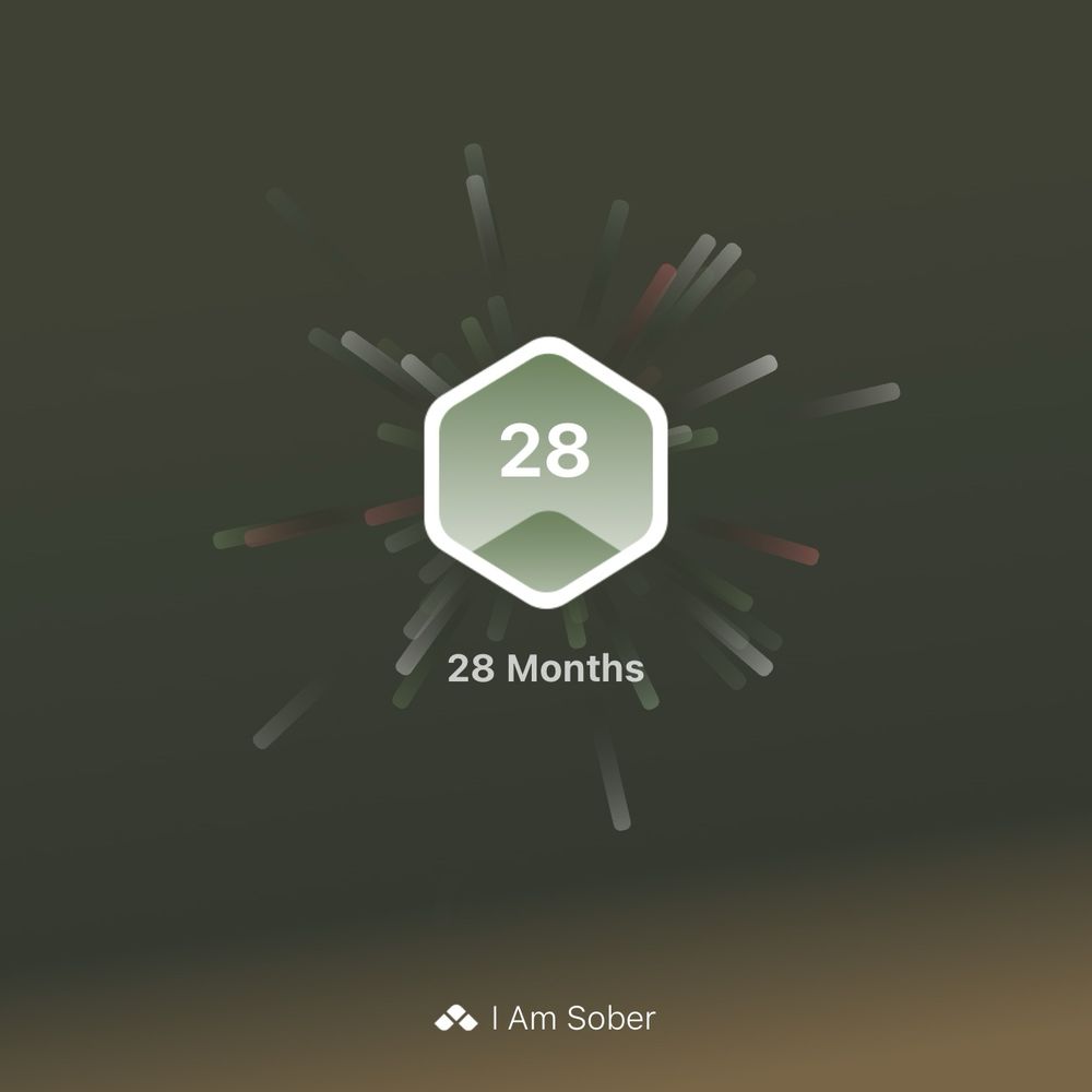sober tracker 28 months