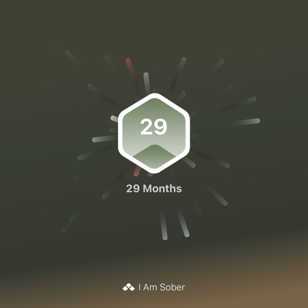 29 months sober tracker image