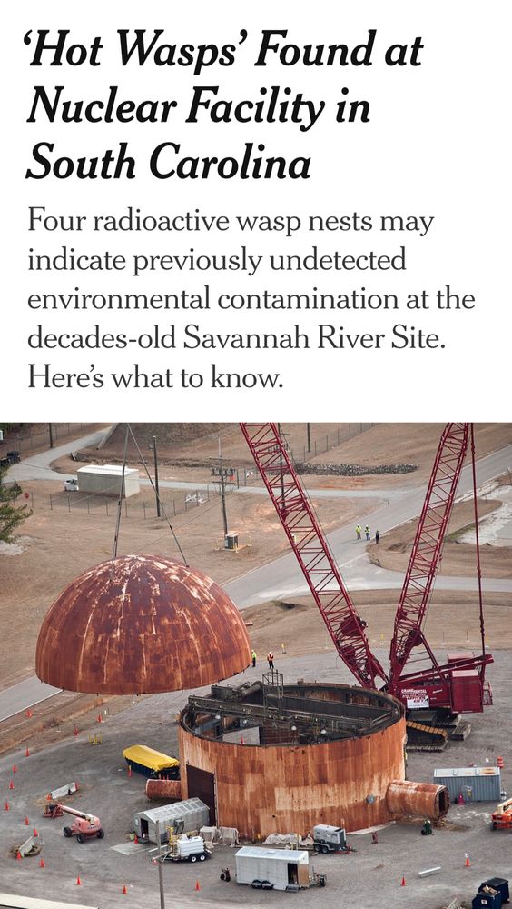 ‘Hot Wasps’ Found at Nuclear Facility in South Carolina
Four radioactive wasp nests may indicate previously undetected environmental contamination at the decades-old Savannah River Site. Here’s what to know.