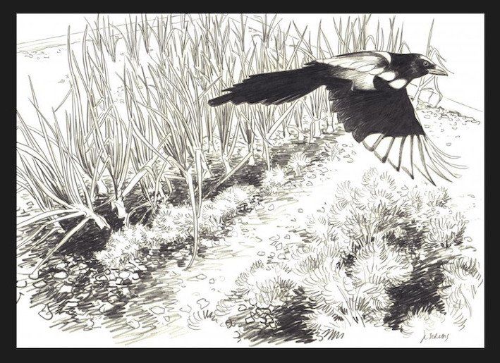 Art by Jean-Claude Servais, "Le Jardin des Glaces" (2008), offered here on Catawiki: https://www.catawiki.com/en/l/97001405-jean-claude-servais-1-original-drawing-servais-le-jardin-des-glaces-2008