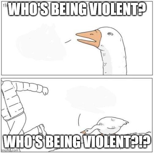 Comment image