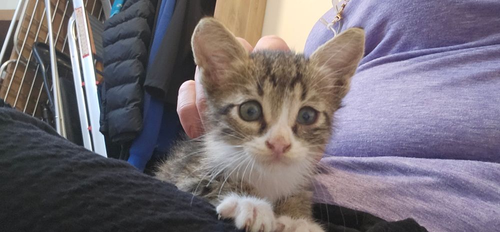 יושב/ת על אמא