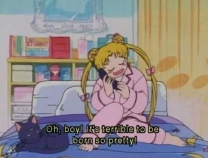Usagi sits on a bed, talking on the phone. Luna rests beside her. Caption reads, "Oh, boy! It's terrible to be born so pretty!"