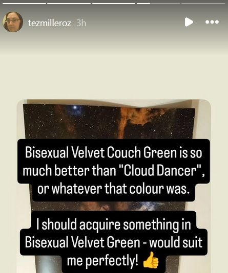 Bisexual Velvet Couch Green is so much better than "Cloud Dancer", or whatever that colour was.

I should acquire something in Bisexual Velvet Green - would suit me perfectly!