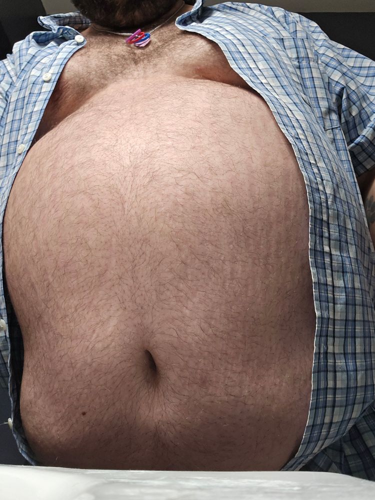 The curves of a chubby bear-sized dog peek out from beneath a plaid shirt. His heavy midsection folds inward on either side of his navel while his belly sags below the edge of the counter. 