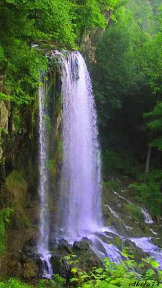 a waterfall is surrounded by trees and rocks and has the number 73 on it