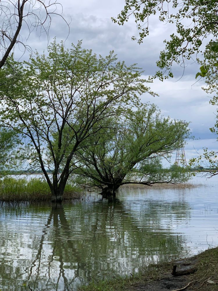 Bord du fleuve au parc de Boucherville 