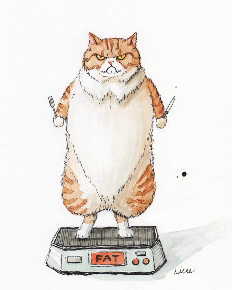 A watercolor of a chonky ginger cat standing on a scale. The weight indicator says FAT.