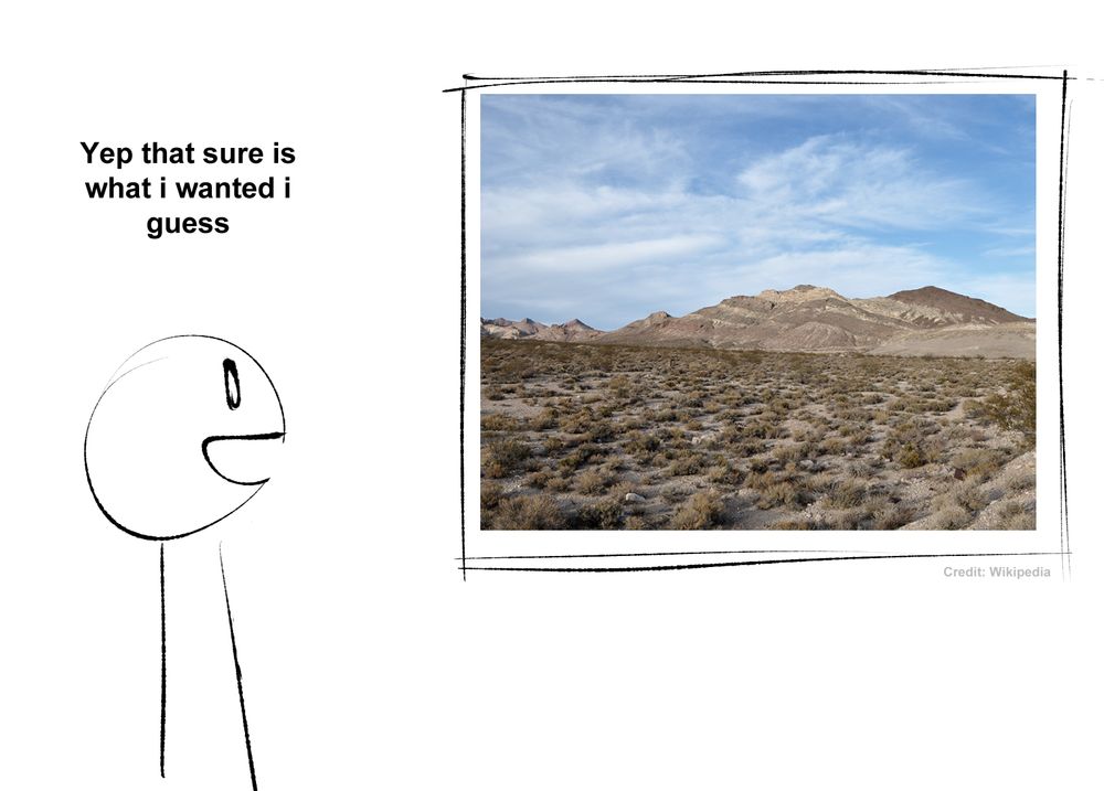 Same person now looking at a dull lifeless photo saying “Yep that’s sure is what i wanted i guess”