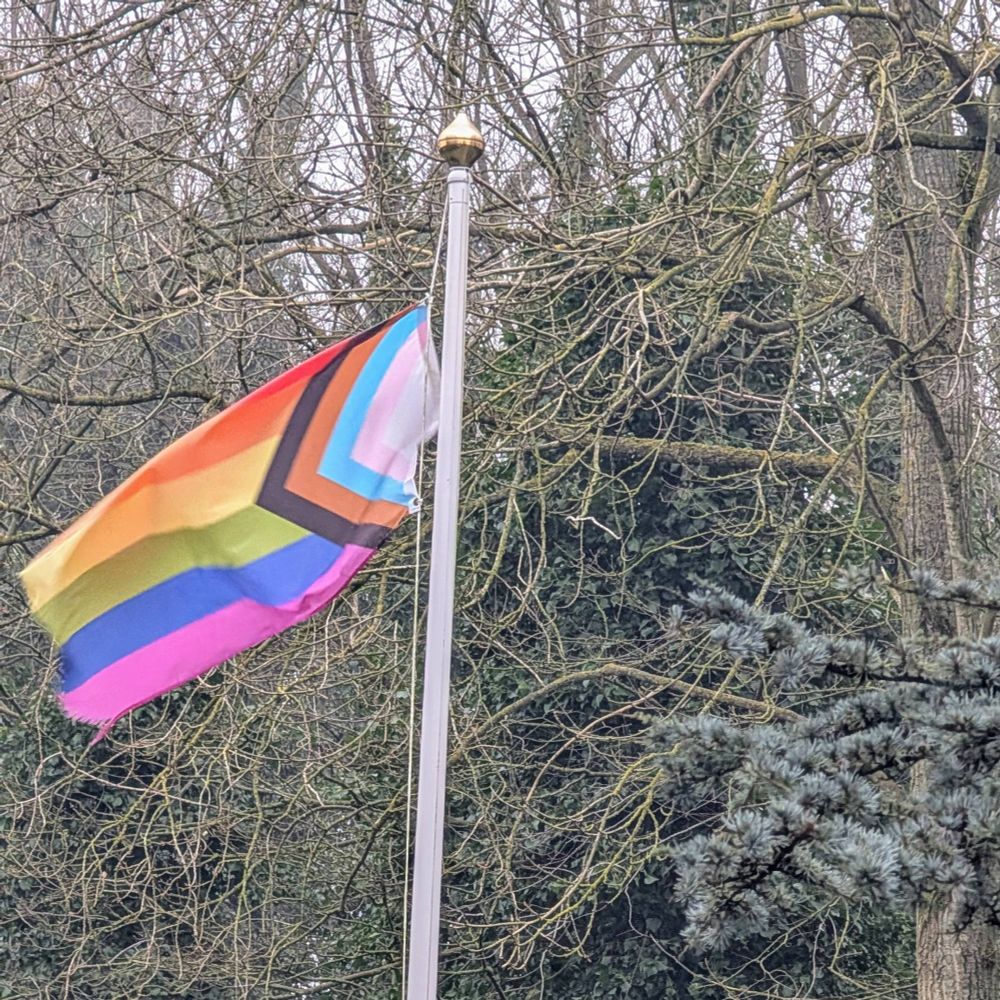 A flagpole with a progressive pride flag stands in front of a wild wooded area. 
