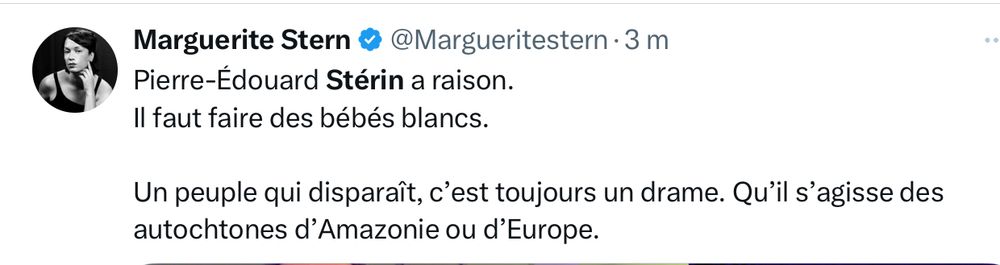 Message chez Musk de Marguerite Stern, à propos des propos du milliardaire catho identitaire qui fixe comme « priorité » d’« avoir plus de bébé de souche européenne » :

« Pierre-Édouard Stérin a raison.
Il faut faire des bébés blancs.
Un peuple qui disparaît, c'est toujours un drame. Qu'il s'agisse des autochtones d'Amazonie ou d'Europe. »