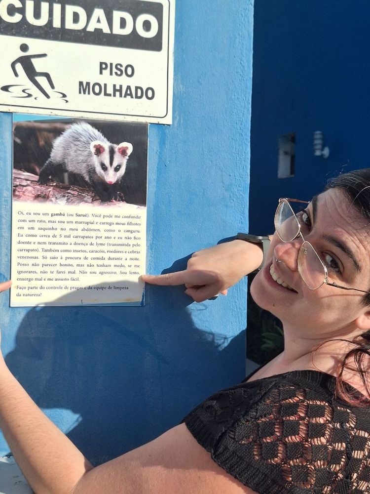 Foto minha apontando para as frases que eu mencionei no tweet ("Posso não parecer bonito, mas não tenham medo, se me ignorares, não te farei mal. Não sou agressivo. Sou lento, enxergo mal e me assusto fácil.") em uma placa que tem a imagem de um Saruê seguida por um texto que na sua totalidade lê:

"Oi, eu sou um gambá (ou Saruê).

Você pode me confundir com um rato, mas sou um marsupial e carrego meus filhotes em um saquinho no meu abdômen, como o canguru.

Eu como cerca de 5 mil carrapatos por ano e eu não fico doente e nem transmito a doença de lyme (transmitida pelo carrapato). Também como insetos, caracóis, roedores e cobras venenosas.

Só saio à procura de comida durante a noite. Posso não parecer bonito, mas não tenham medo, se me ignorares, não te farei mal. Não sou agressivo. Sou lento, enxergo mal e me assusto fácil.

Faço parte do controle de pragas e da equipe de limpeza da natureza!"