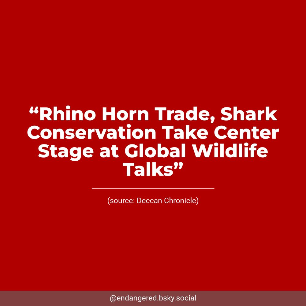 White text on a dark red background reads, “Rhino Horn Trade, Shark Conservation Take Center Stage at Global Wildlife Talks”. Underneath, Deccan Chronicle is listed as the source.