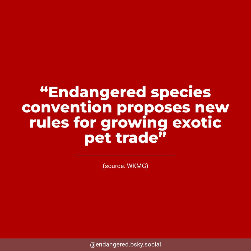 White text on a dark red background reads, “Endangered species convention proposes new rules for growing exotic pet trade”. Underneath, WKMG is listed as the source.