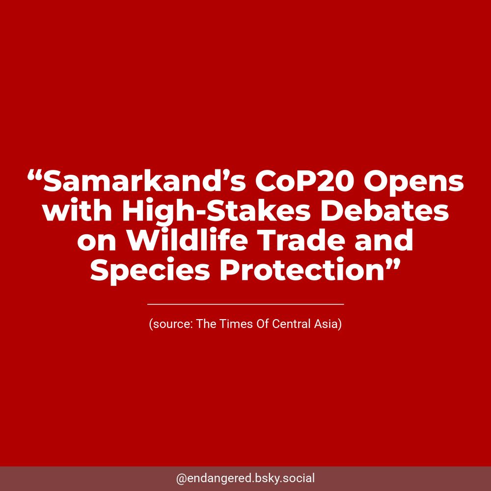 White text on a dark red background reads, “Samarkand’s CoP20 Opens with High-Stakes Debates on Wildlife Trade and Species Protection”. Underneath, The Times Of Central Asia is listed as the source.